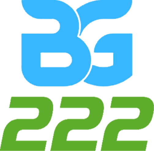 bg222casino.net Logo